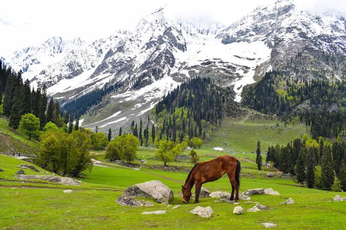 Mystical Kashmir gallery 2