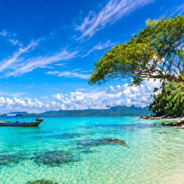 Andaman Short Escape gallery 3
