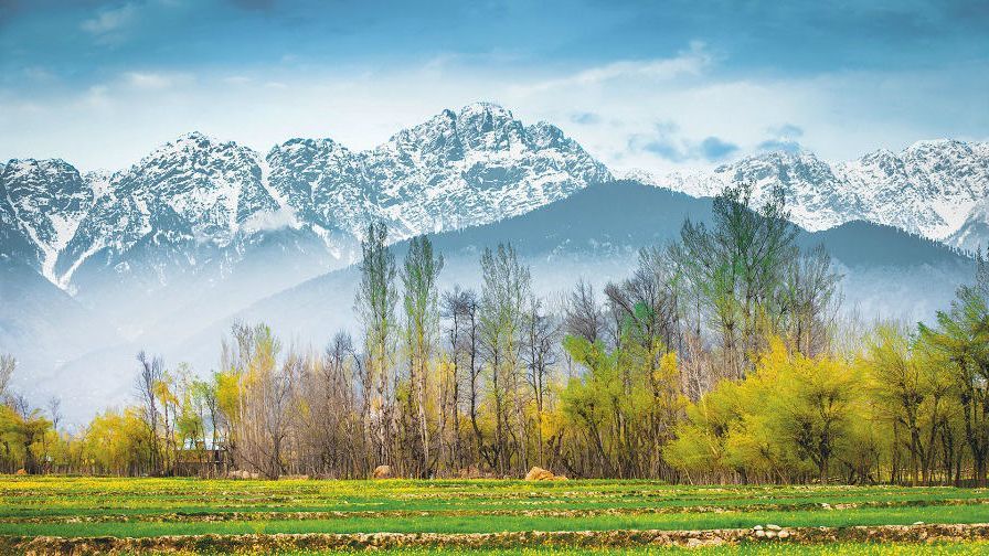 Kashmir Grand gallery 2