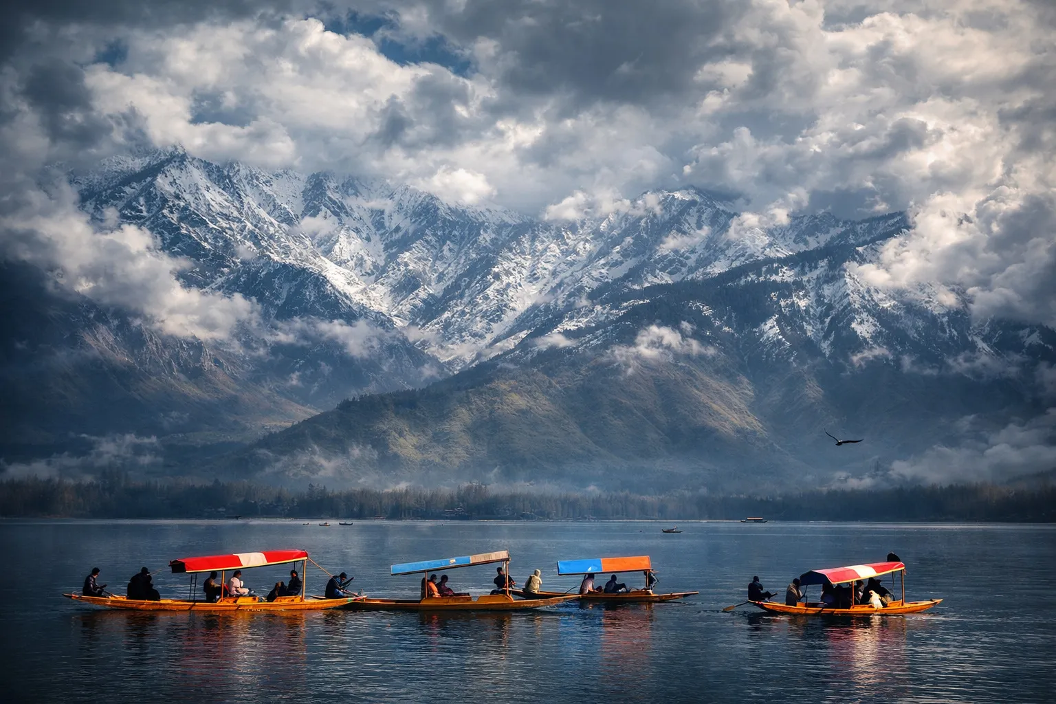 Kashmir Grand gallery 3