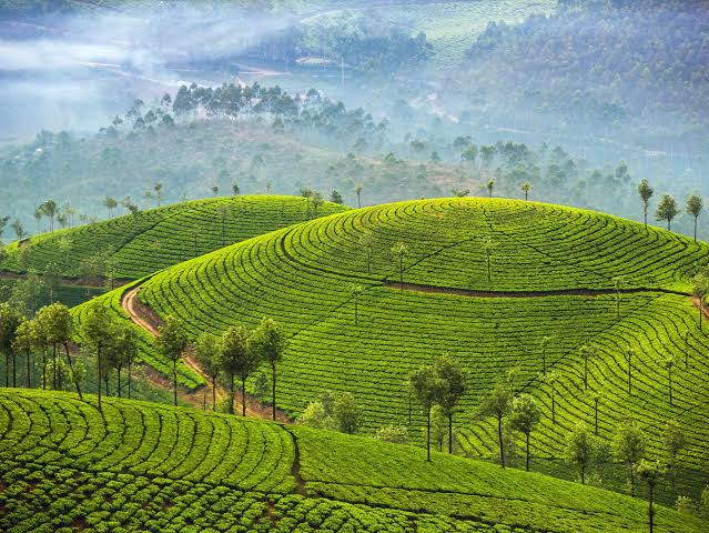 Kerala Explorer