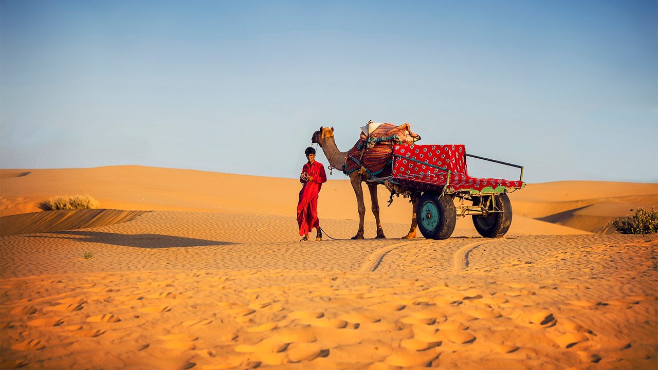 Rajasthan Grand Tour gallery 2