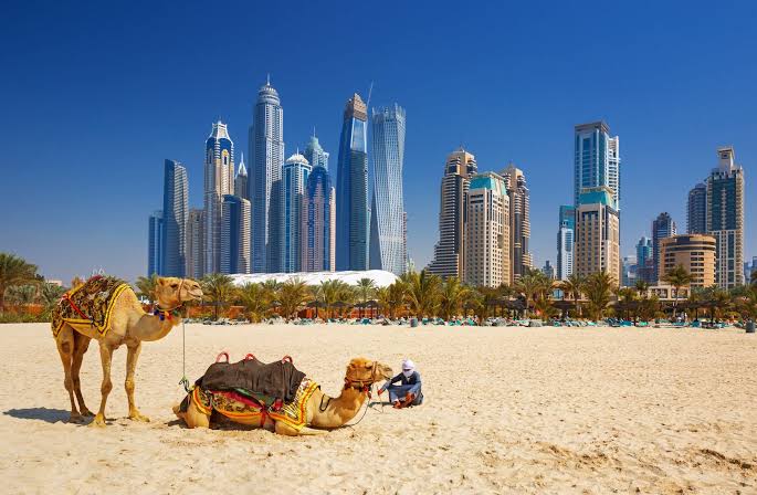 Dubai & Abu Dhabi gallery 2