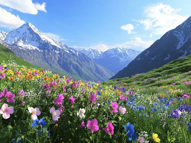 Uttarakhand gallery 2